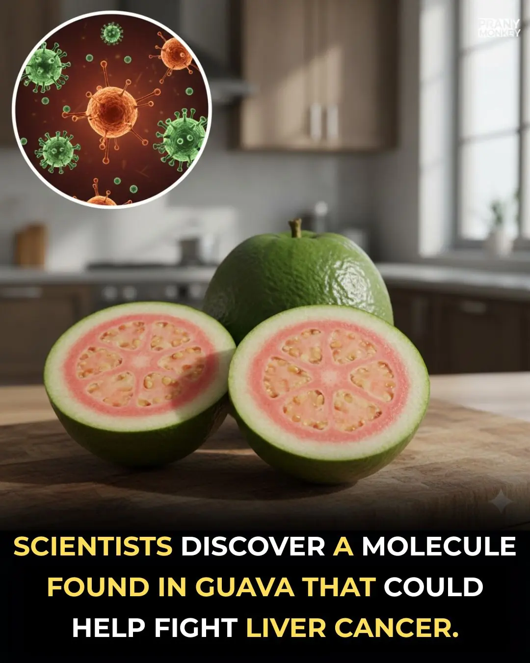 Guava Molecule Shows Promise in Fighting Liver Cancer, Researchers Find