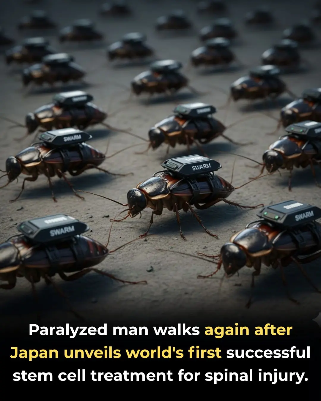 Germany Develops AI-Enhanced Cockroach Bio-Robots for Advanced Surveillance