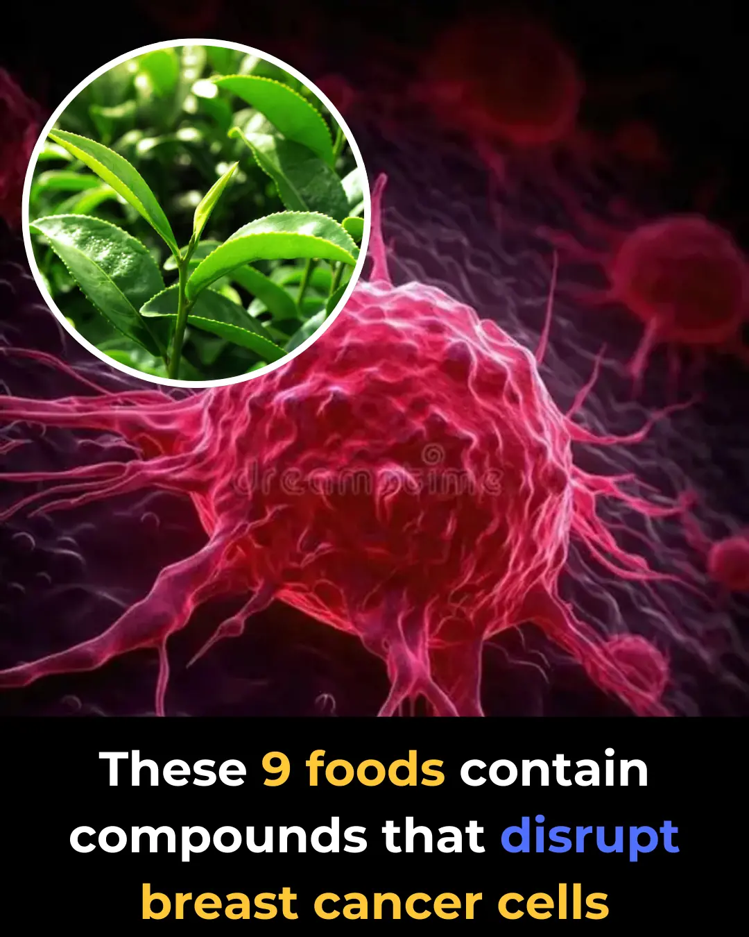 These 9 Foods Contain Natural Compounds That Help Disrupt Breast Cancer Cells