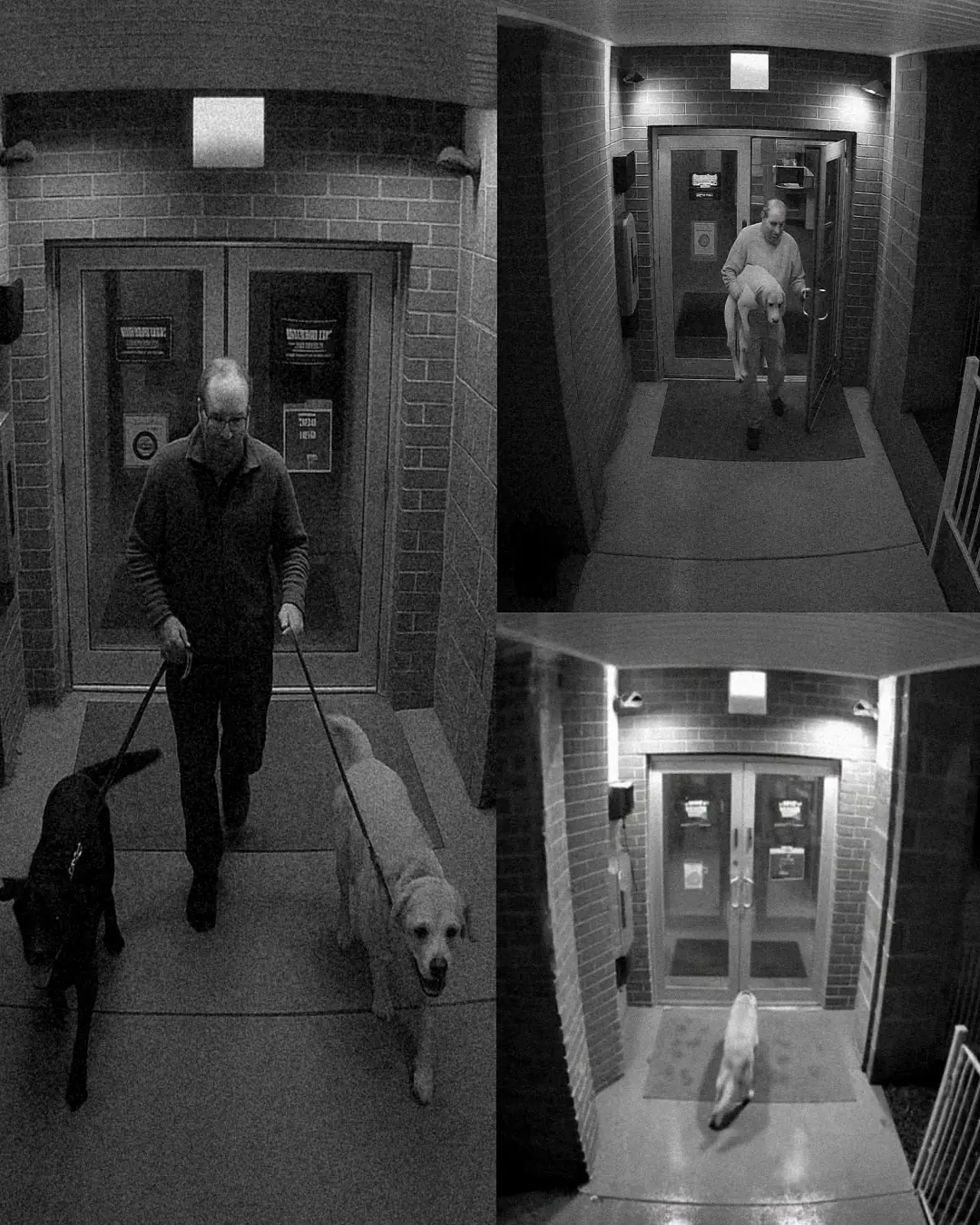 TWO HEARTS FIND HOME AGAIN: THE STORY OF JOHN AND SALLY