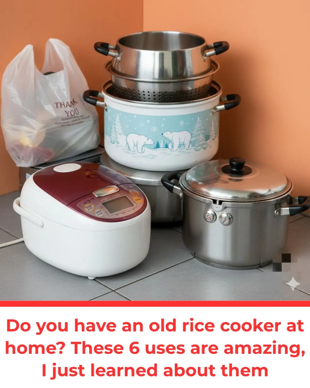 Do you have an old rice cooker at home? These 6 uses are amazing, I just learned about them