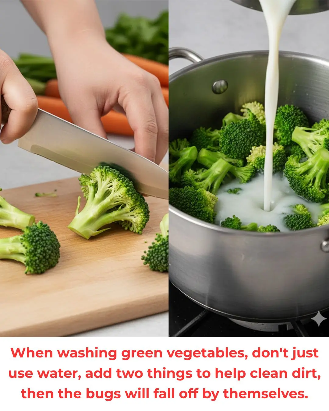 When washing green vegetables, don't just use water, add two things to help clean dirt, then the bugs will fall off by themselves.