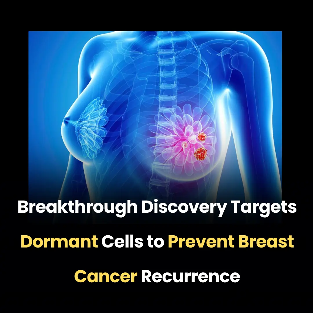 Breakthrough Discovery Targets Dormant Cells to Prevent Breast Cancer Recurrence