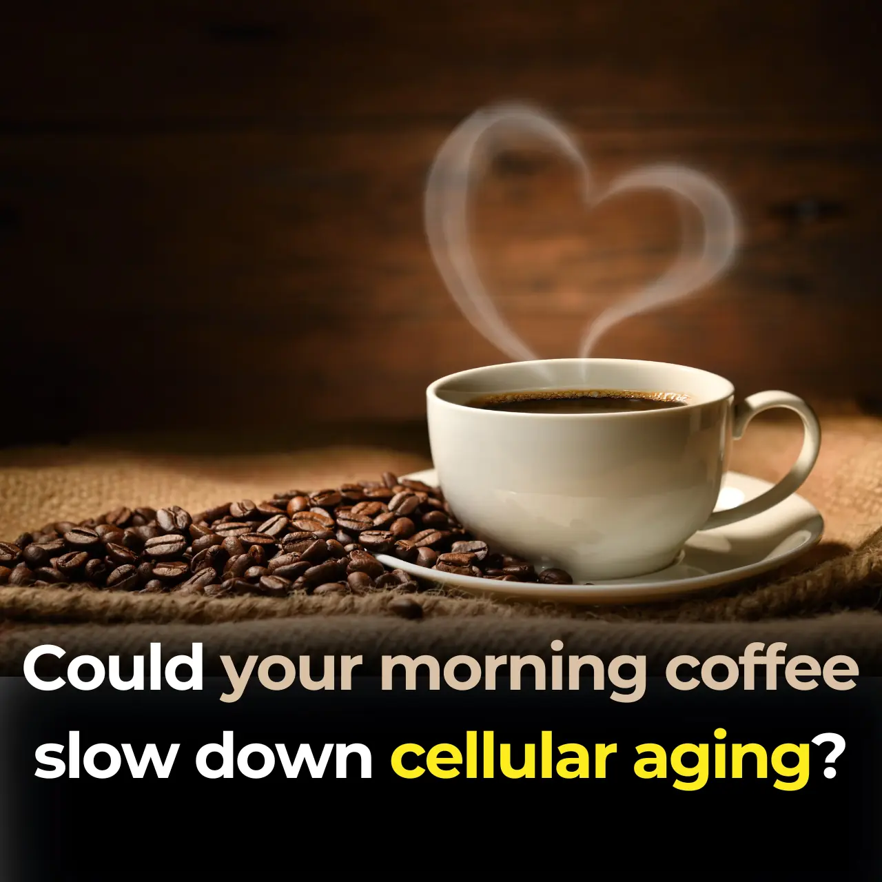 Could your morning coffee slow down cellular aging?