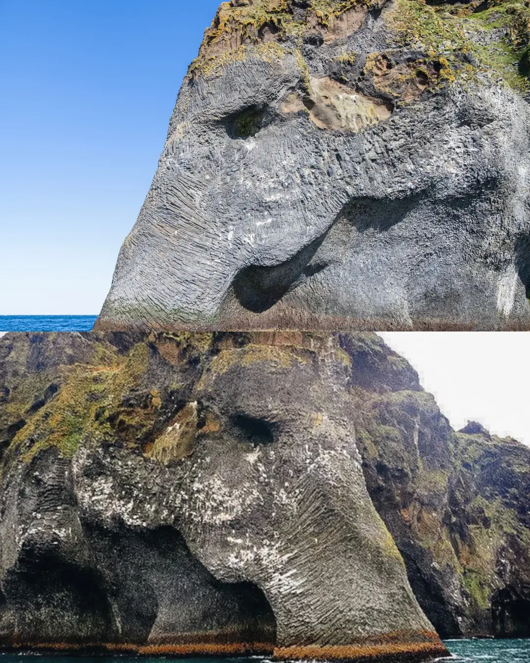 The Stone Elephant Who Drinks from the Sea.