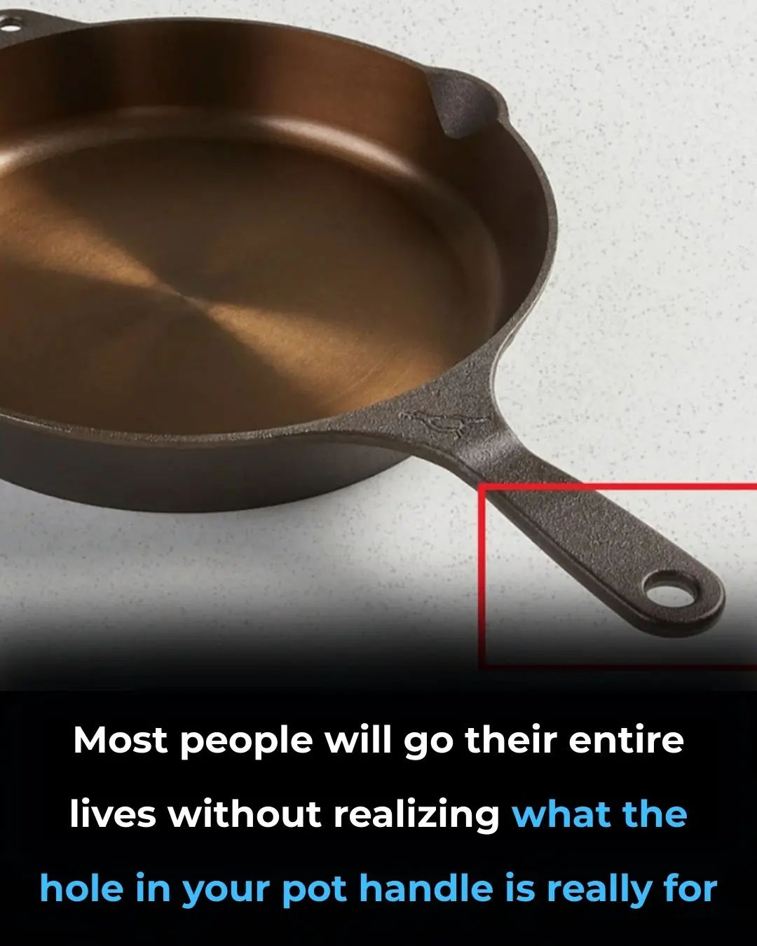 I Had No Idea This Was a Thing