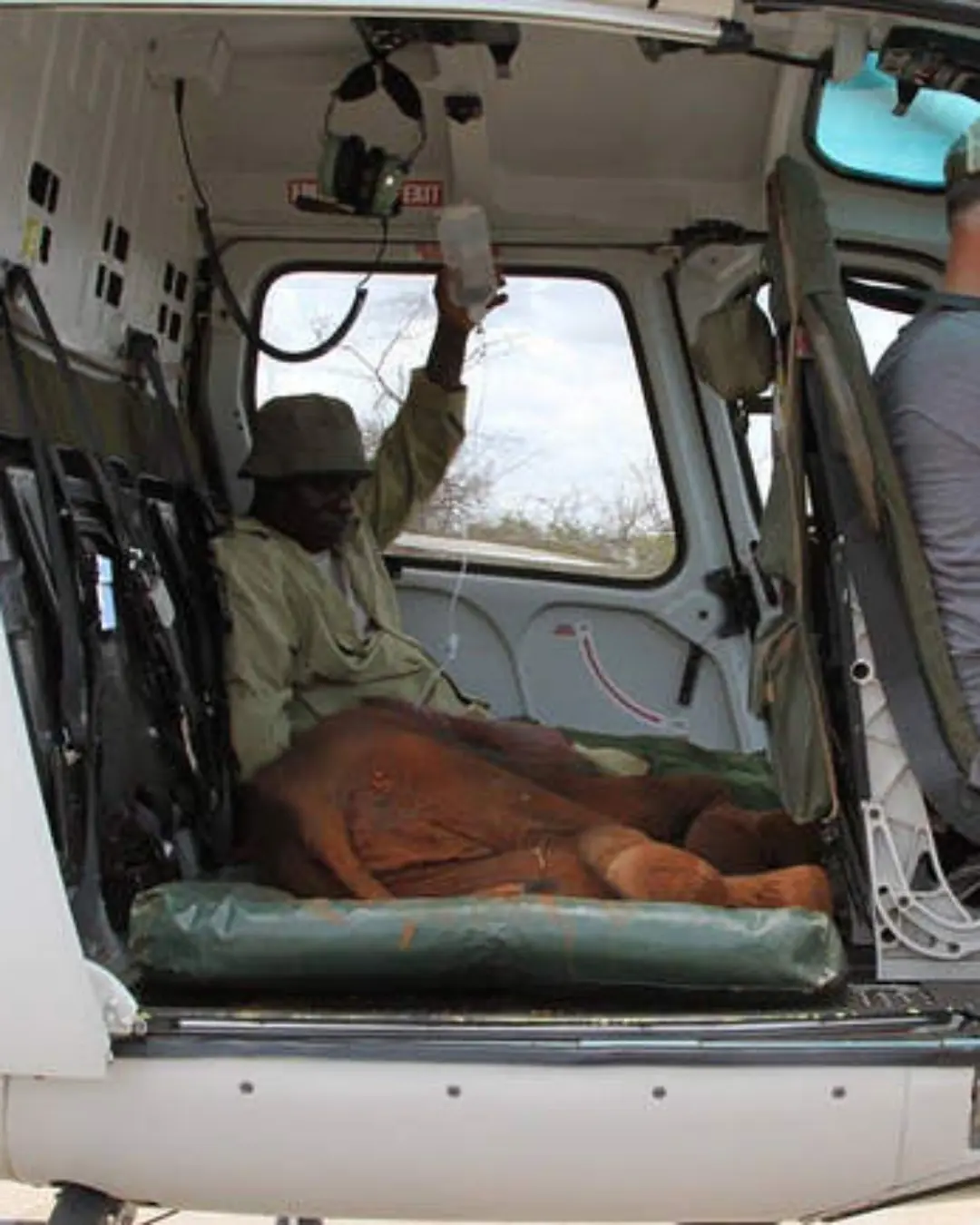 The Month the Sky Fought Back: A Story From Tsavo.