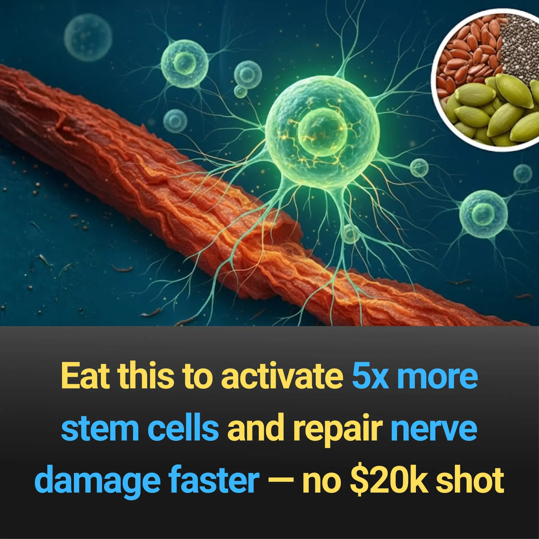 Eat this to activate 5x more stem cells and repair nerve damage faster — no $20k shot