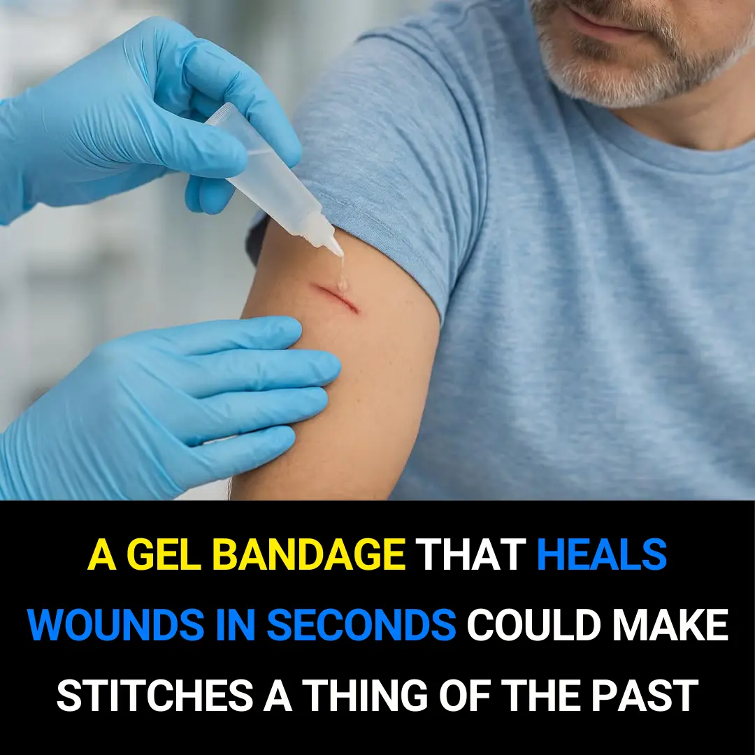 Breakthrough Japanese Bio-Gel Bandage Can Seal Wounds in Seconds — A Potential Revolution in Emergency Medicine