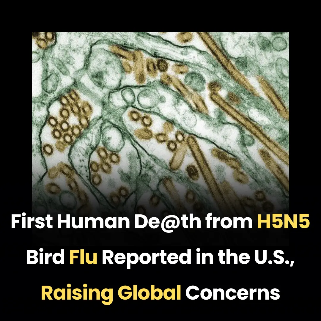 First Human Death from H5N5 Bird Flu Reported in the U.S., Raising Global Concerns
