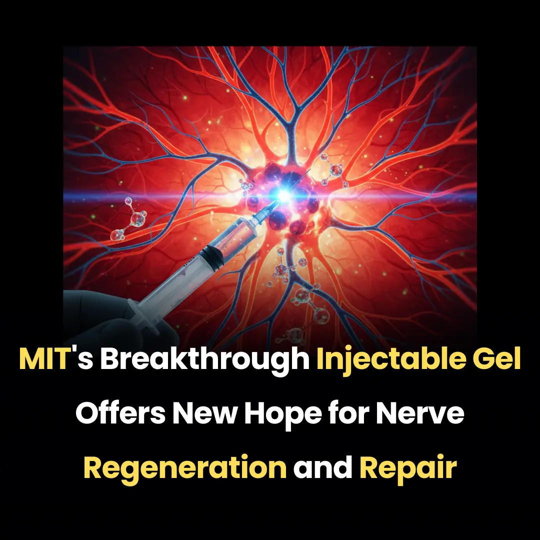 MIT's Breakthrough Injectable Gel Offers New Hope for Nerve Regeneration and Repair
