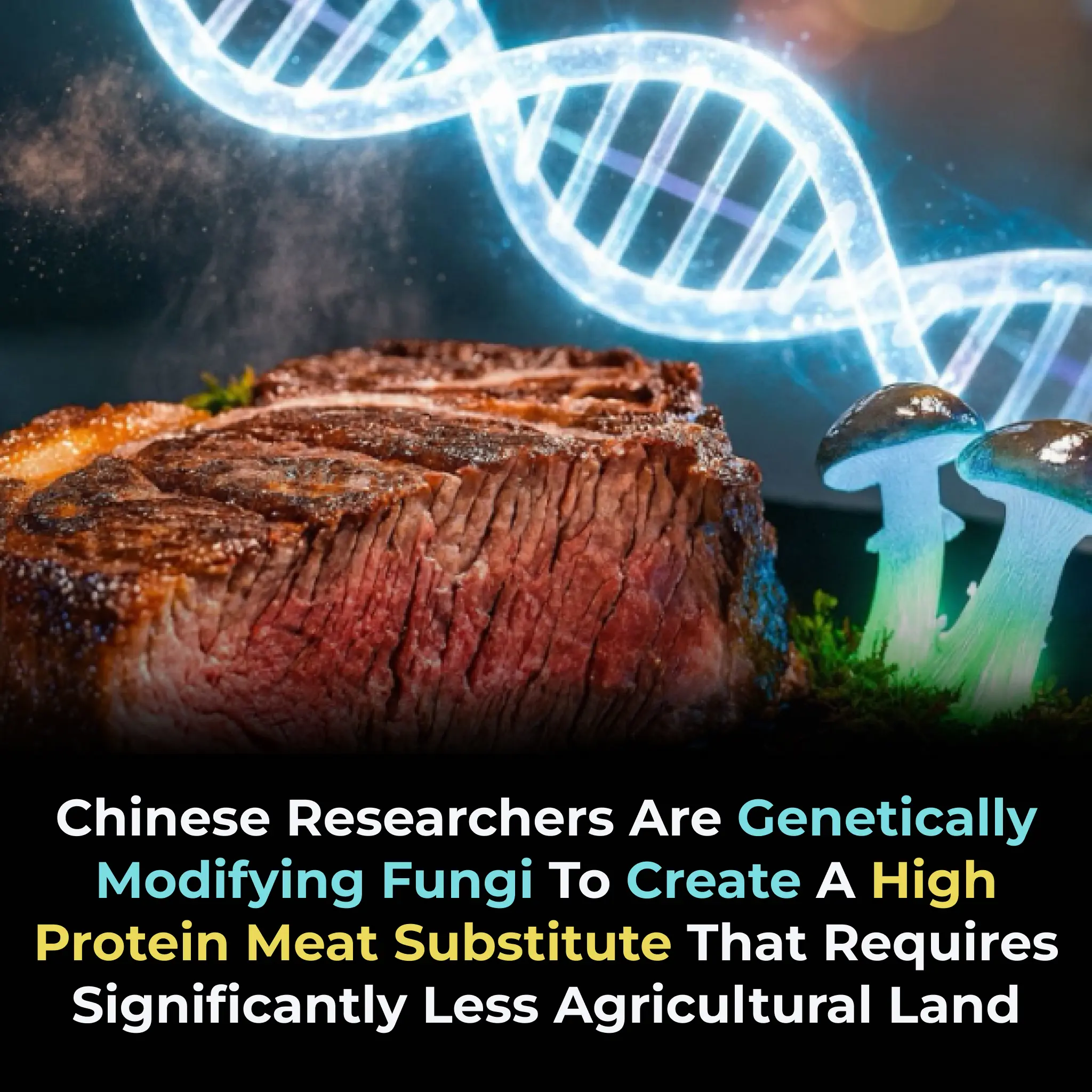 Tsinghua University Scientists Engineer Industrial Fungus Into a High-Protein Meat Alternative