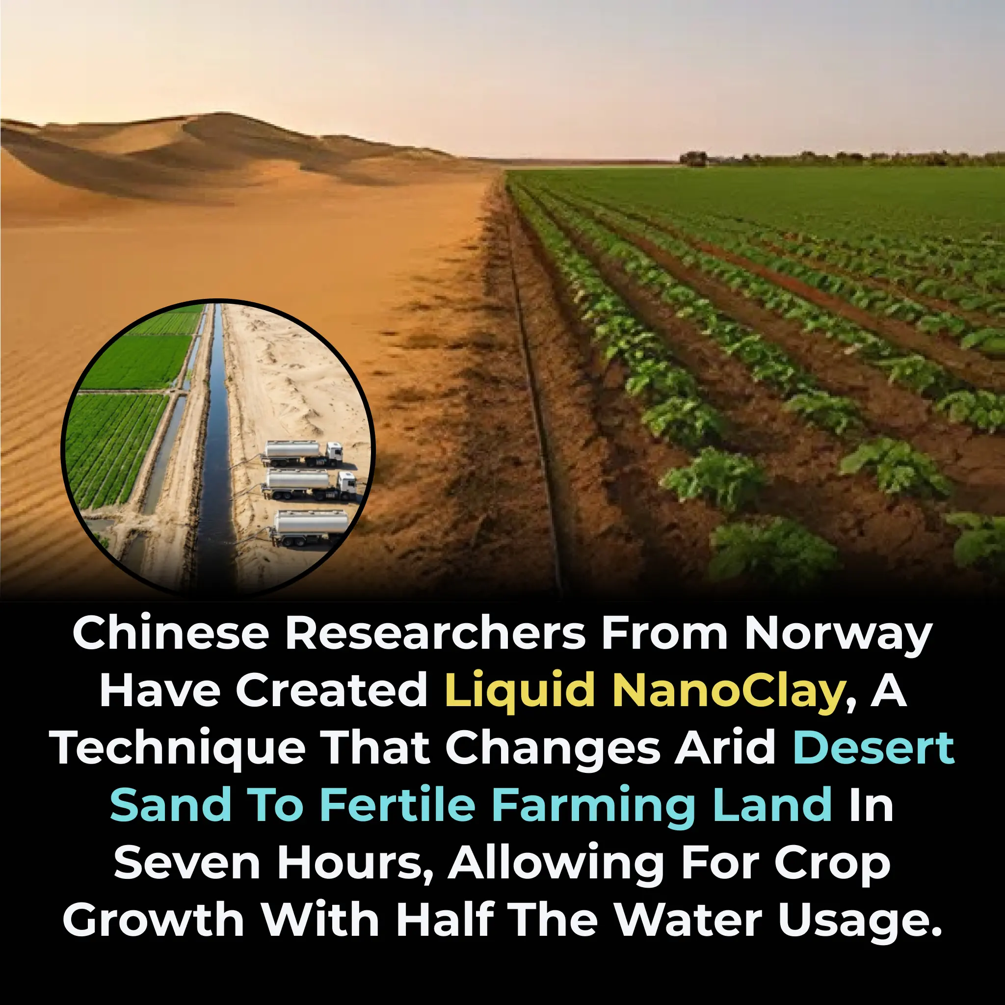 Norwegian Startup Develops Liquid Natural Clay to Transform Deserts Into Fertile Farmland