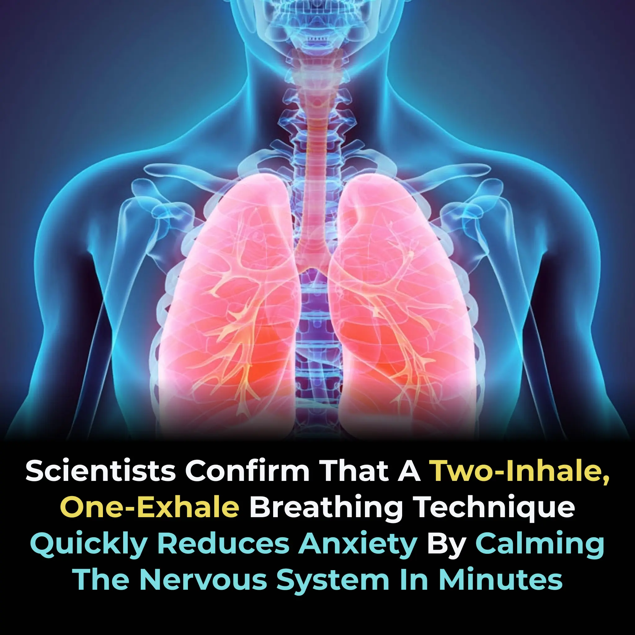 Stanford Study Shows “Cyclic Sighing” Breathing Technique Significantly Reduces Stress and Anxiety