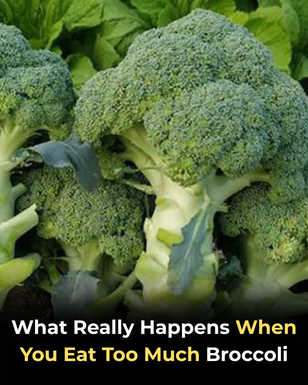 What Really Happens When You Eat Too Much Broccoli