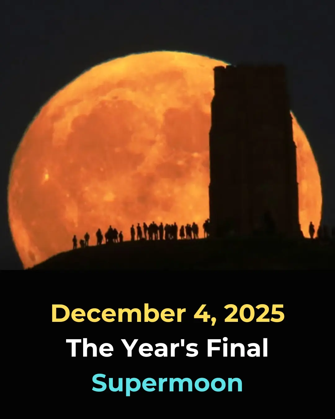 The Final Supermoon of 2025: What You Need to Know About the Cold Moon on December 4