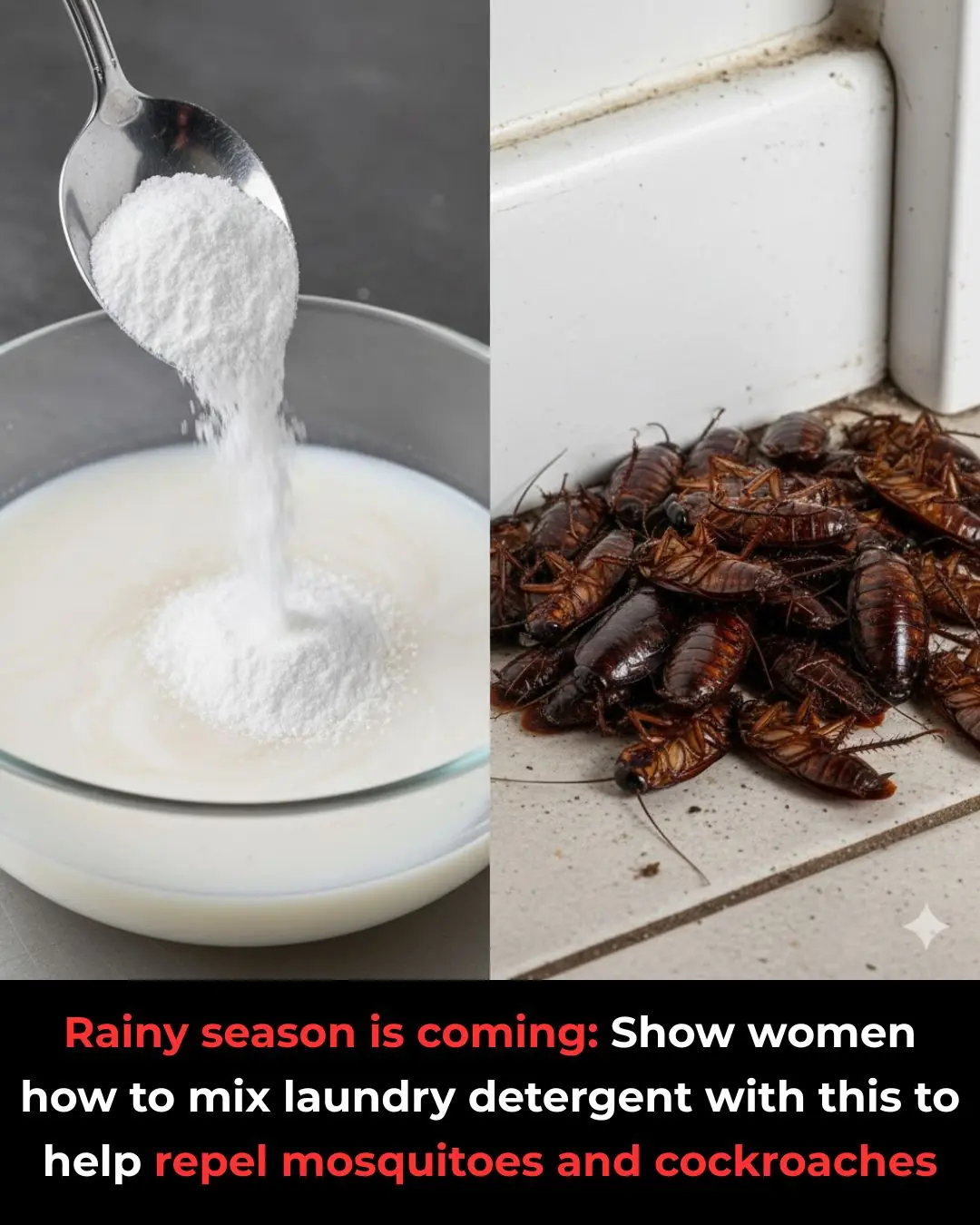 Rainy season is coming: Show women how to mix laundry detergent with this to help repel mosquitoes and cockroaches