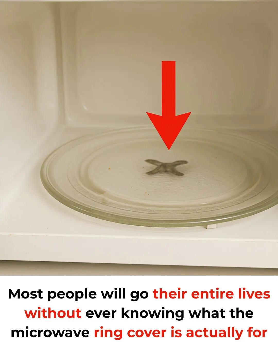 The Unsung Hero in Your Microwave