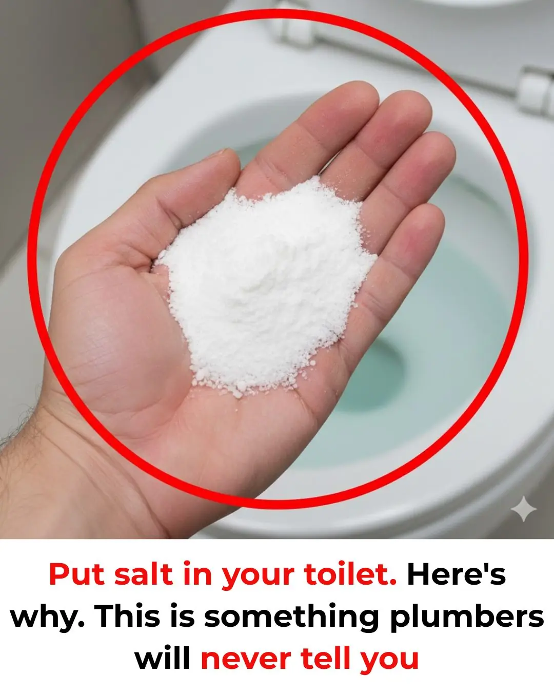Why You Should Be Putting Salt in Your Toilet
