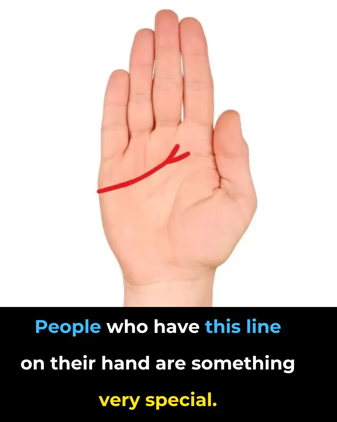 â Palmistry and the Interpretation of the Lines in the Palms of the Hands