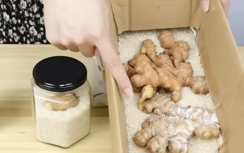 5 Ways to Store Ginger Without a Refrigerator and Keep It Fresh for Half a Year