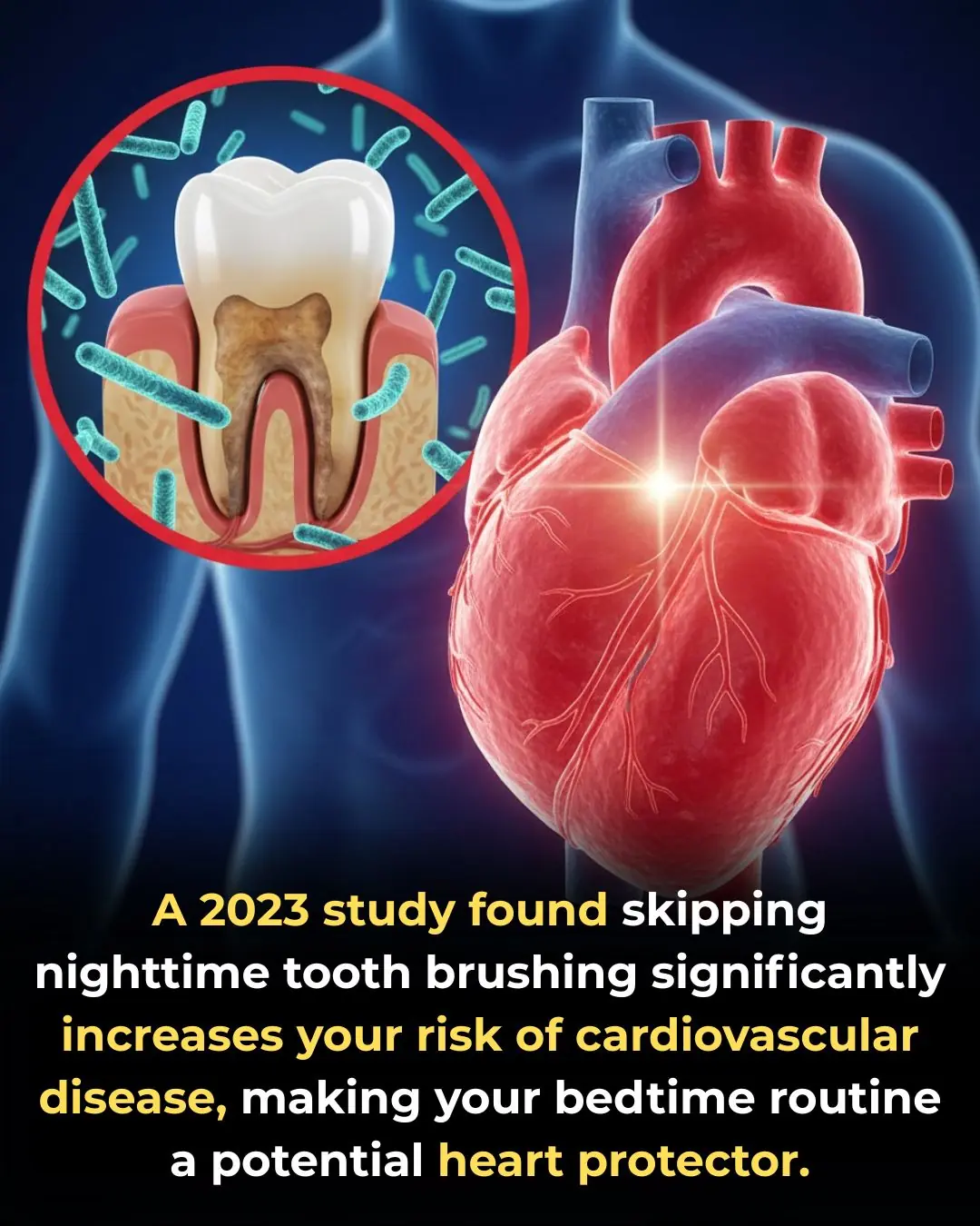 💖 Oral Health as Cardiovascular Defense: Why Nighttime Brushing is a Critical Tool for Heart Protection