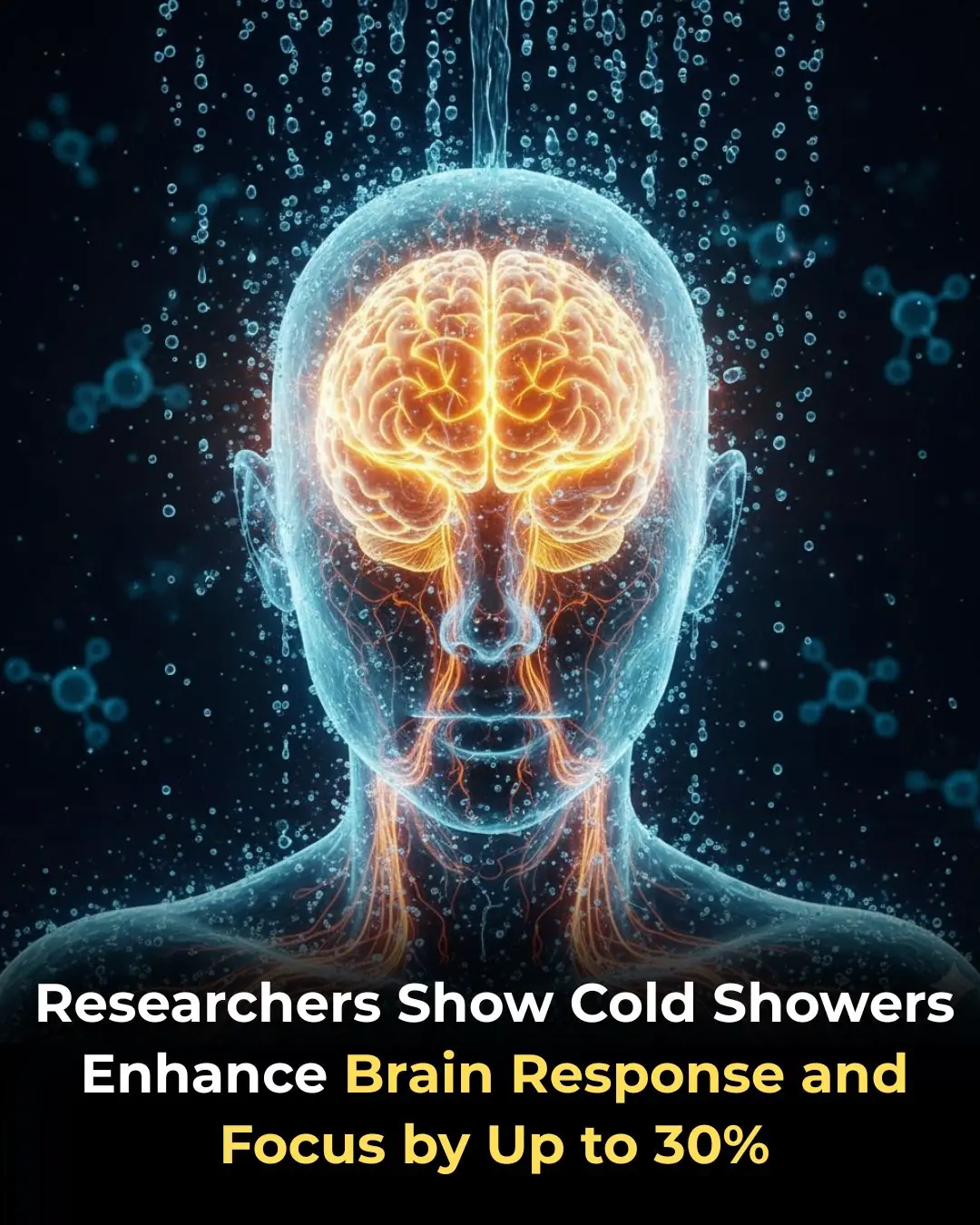 The Cognitive Shock: How Brief Cold Exposure Boosts Focus and Mental Energy