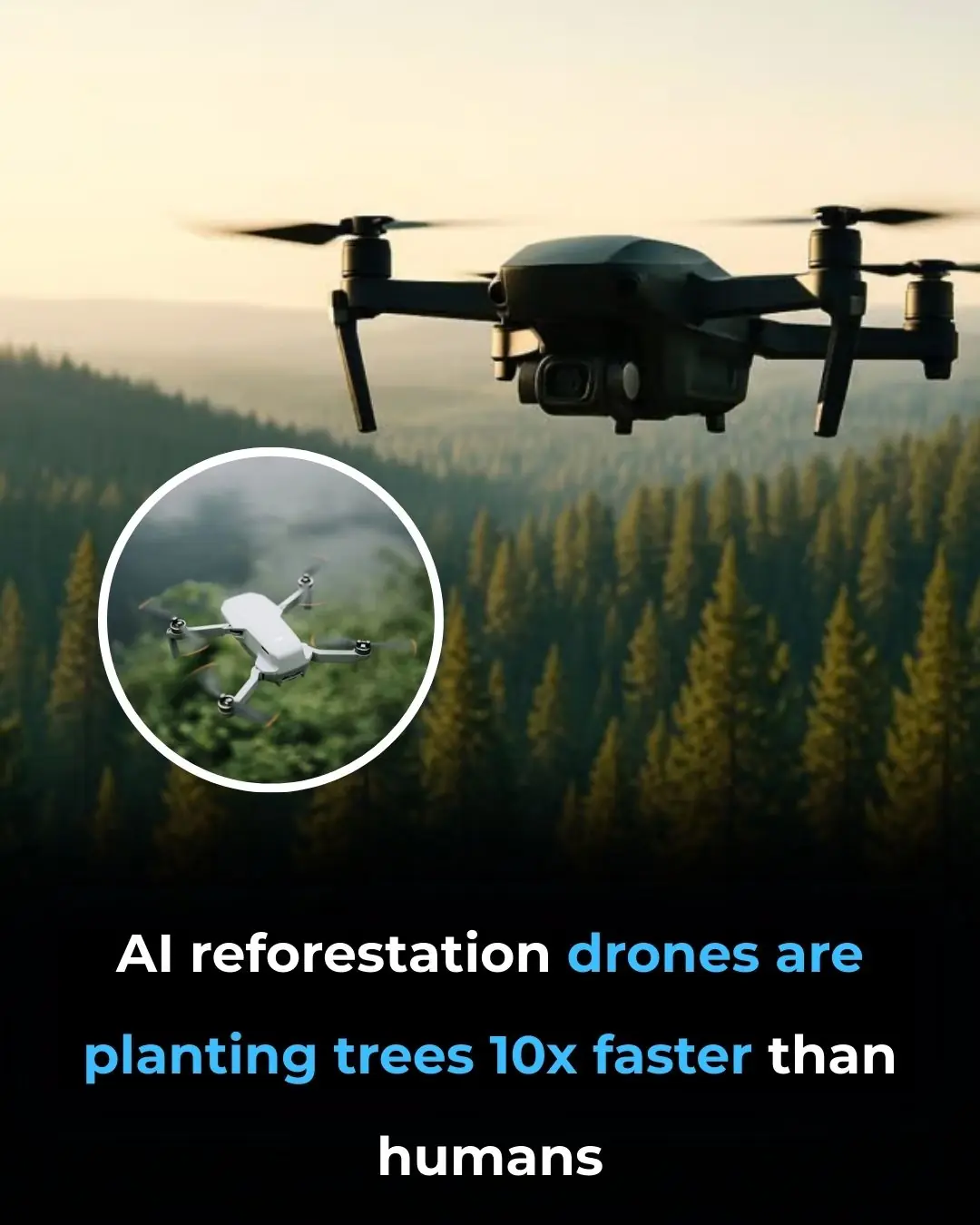 Flying Robots, Faster Forests: Japan’s High-Tech Rewilding Revolution