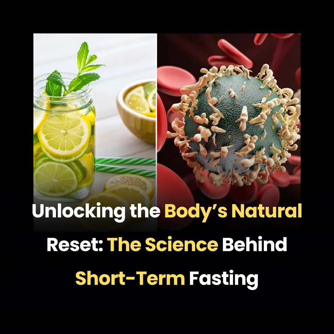 Unlocking the Body’s Natural Reset: The Science Behind Short-Term Fasting