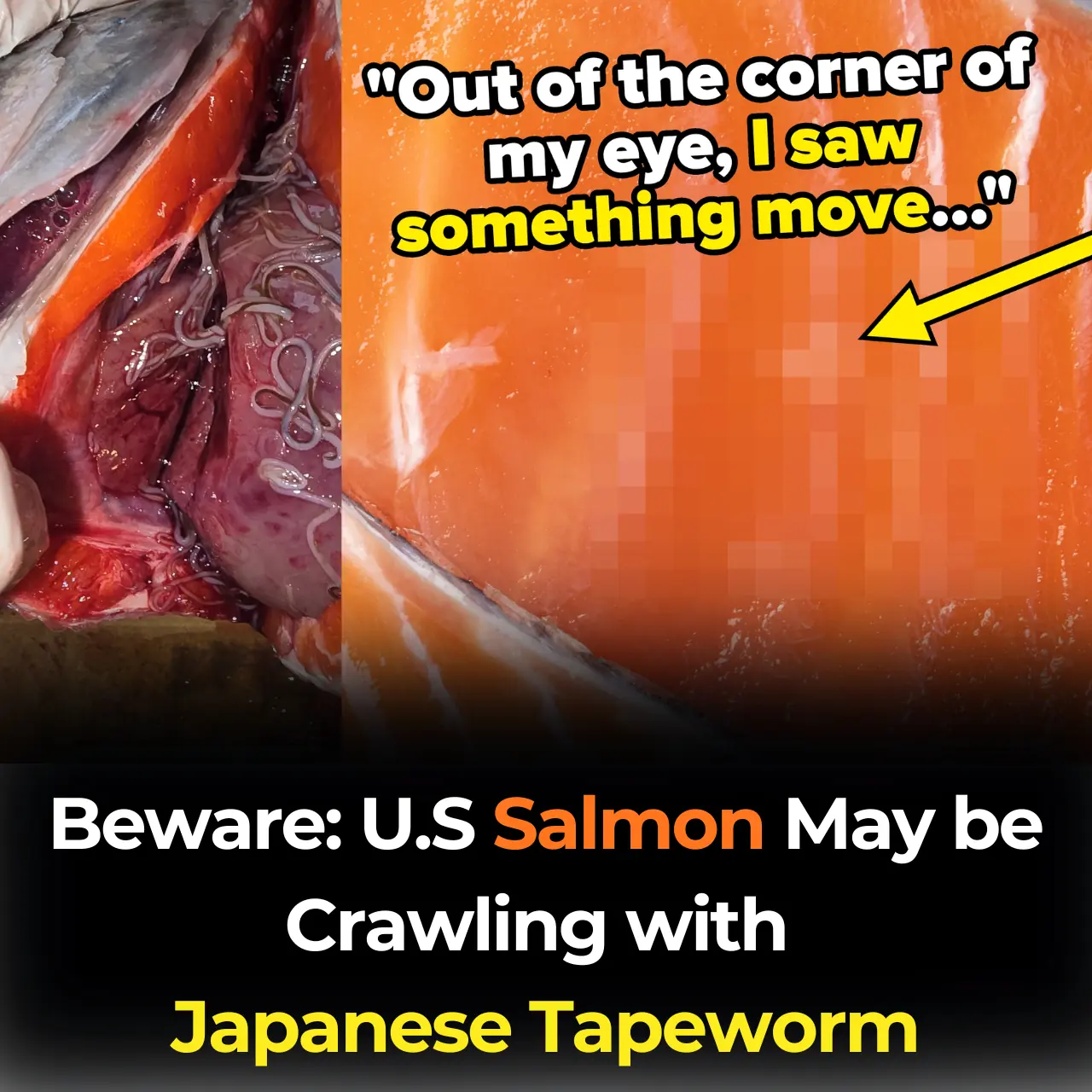 Beware: U.S Salmon May be Crawling with Japanese Tapeworm, Say Scientists