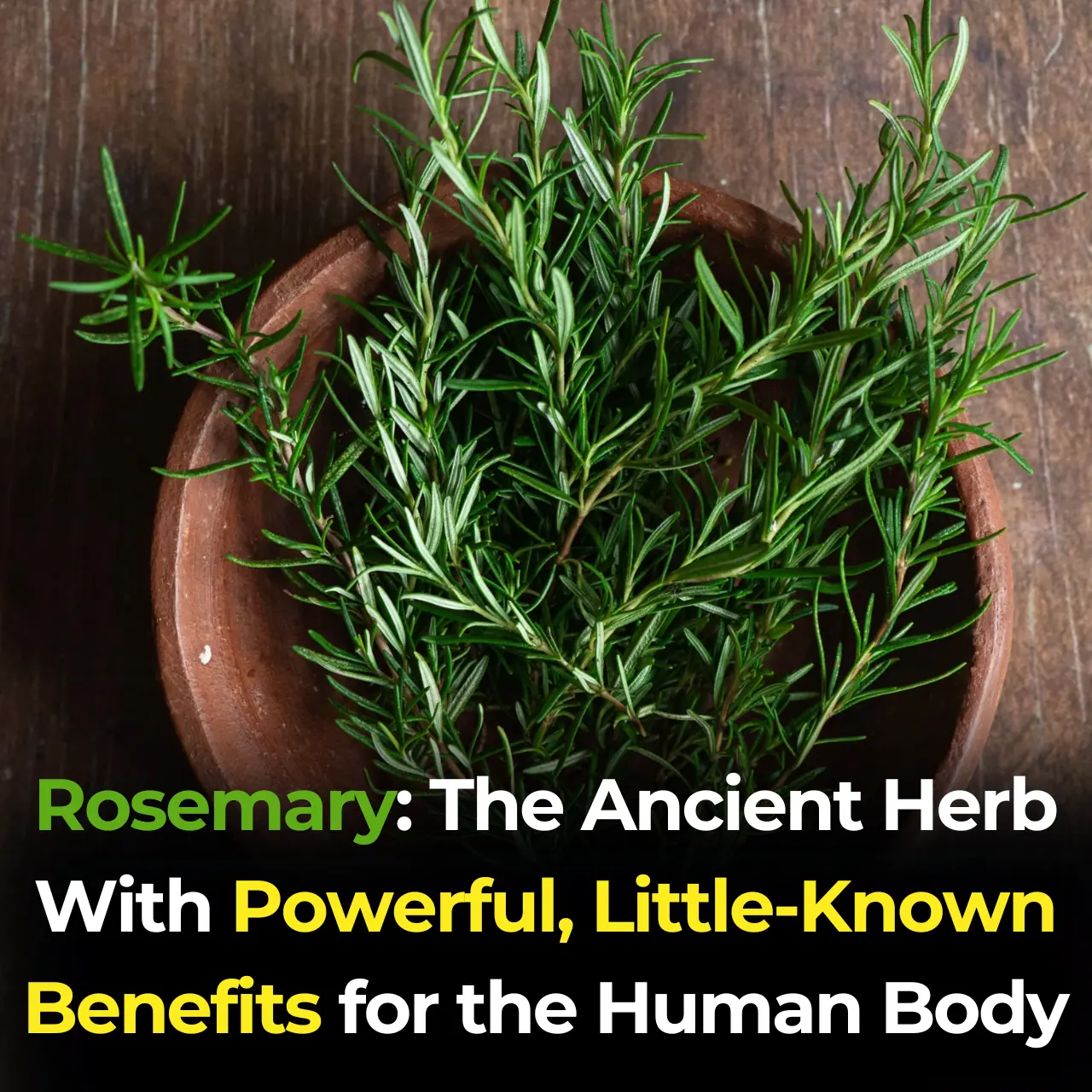 Rosemary: The Ancient Herb With Powerful, Little-Known Benefits for the Human Body