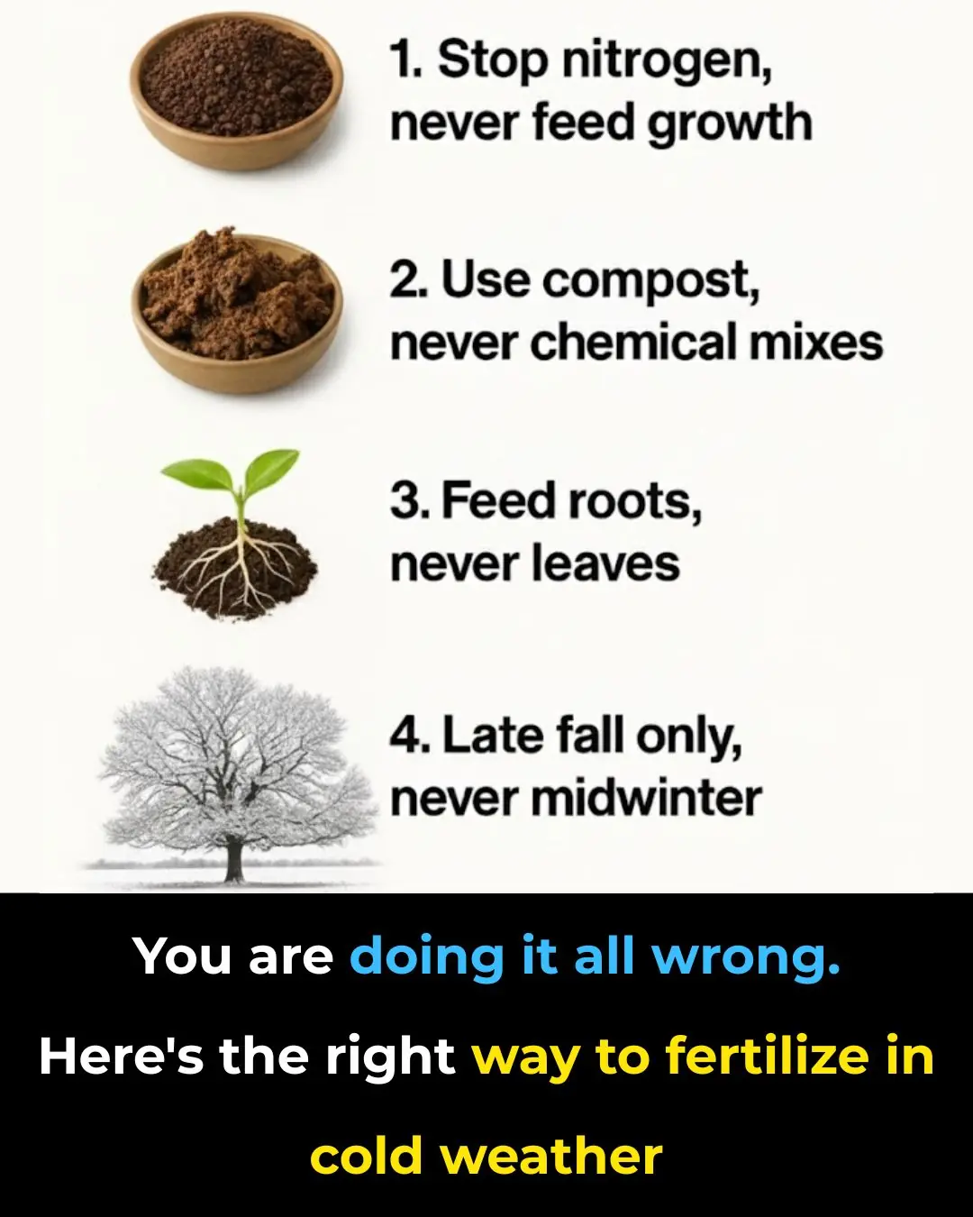 You’re Doing It All Wrong: Here’s the Right Way to Fertilize in Cold Weather