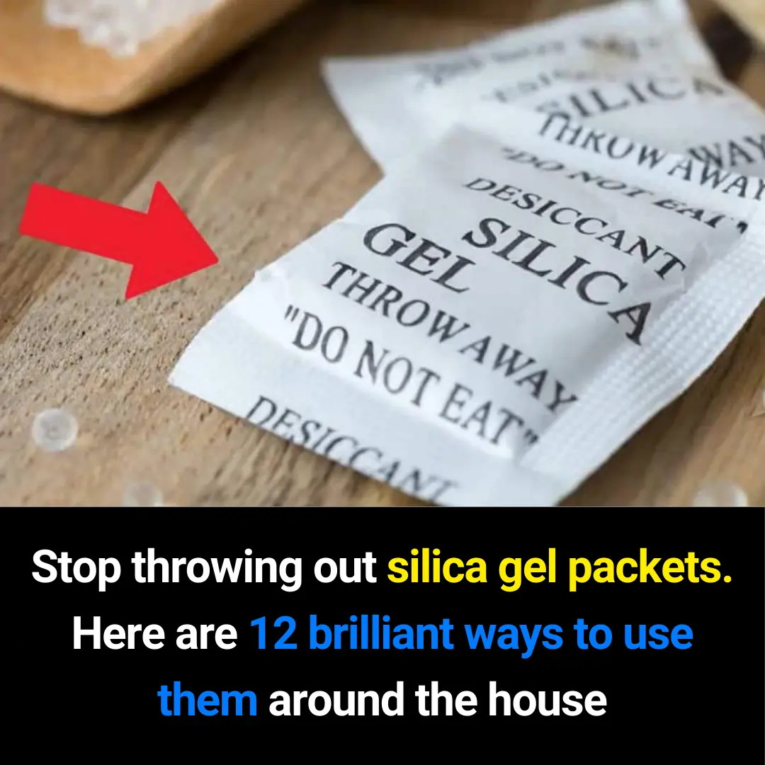 12 Brilliant Ways to Reuse Silica Gel Packets at Home: Don’t Throw Them Away!