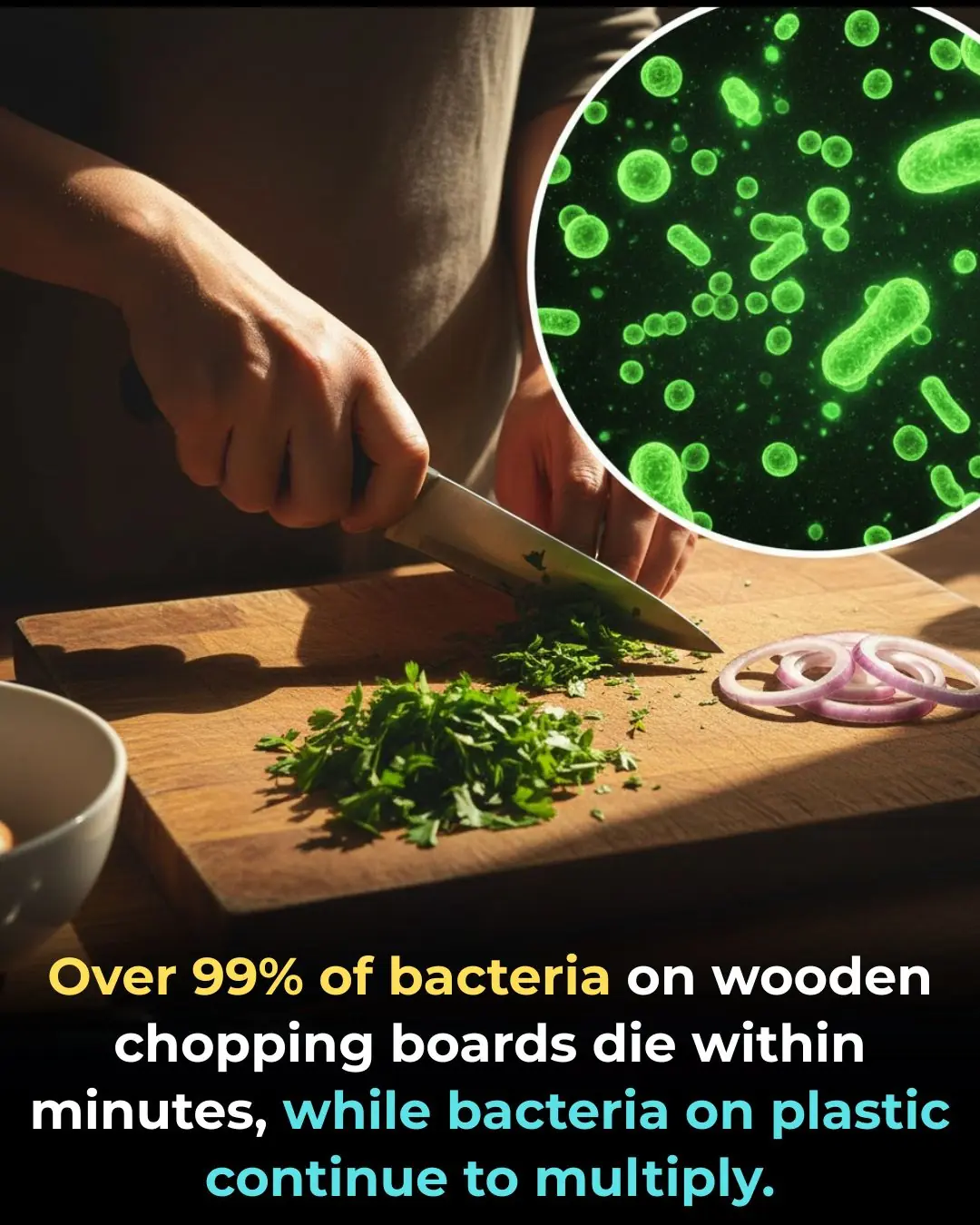 The Surprising Truth: Wooden Boards Kill Bacteria Better Than Plastic