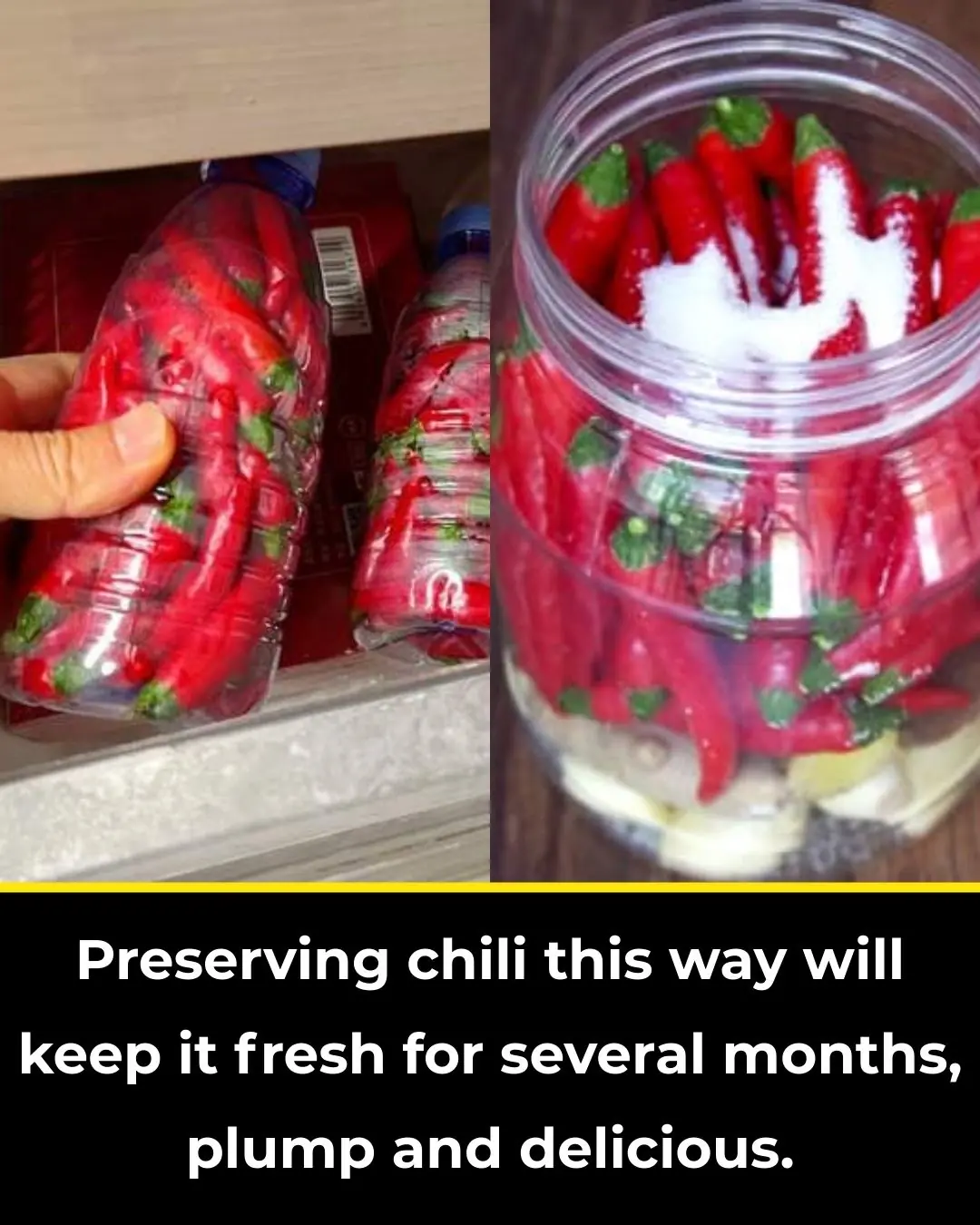 Keep chilies fresh for months with this simple method — they’ll stay as vibrant and crisp as the day you picked them