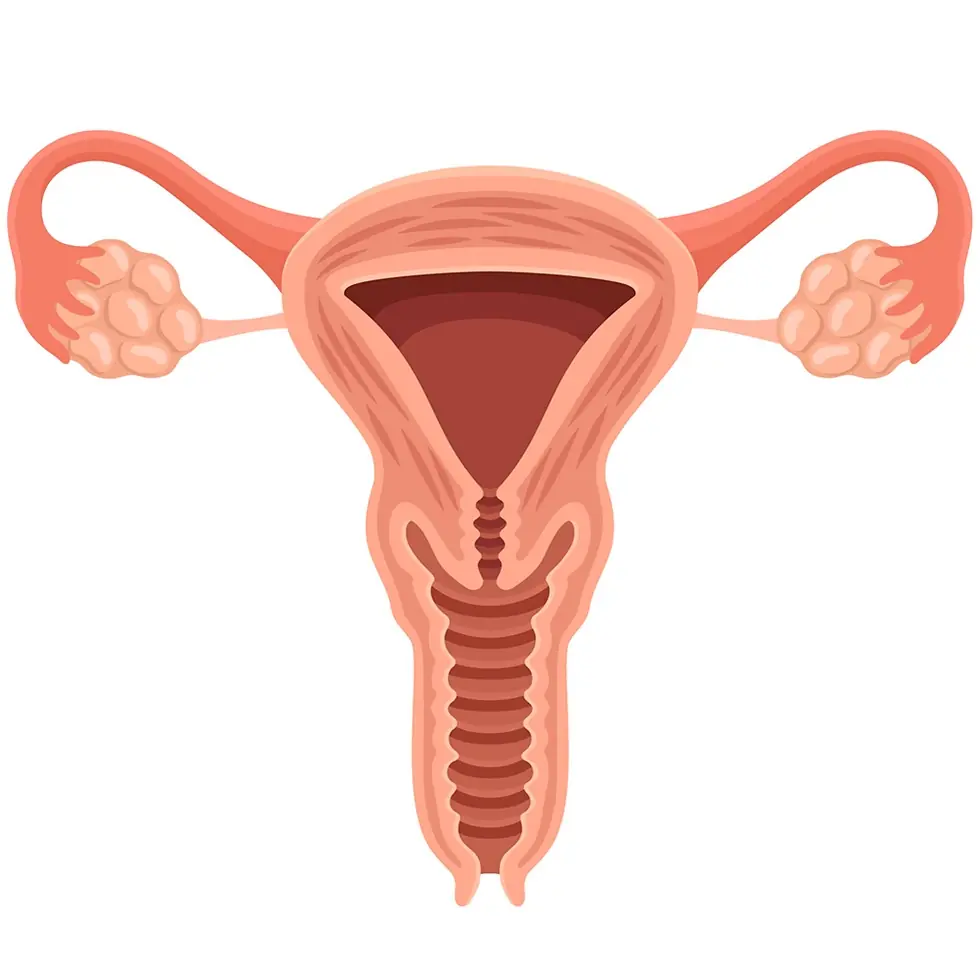 This is what happens to your body when you stop having intimate relationships