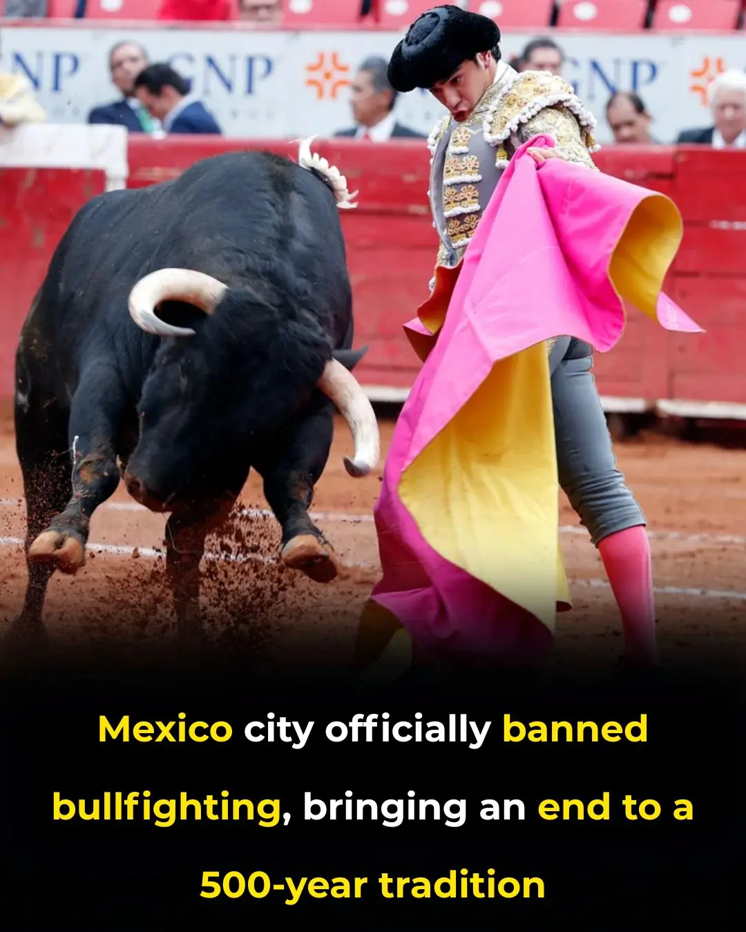 Mexico City Ends 500 Years of Bullfighting in Landmark Animal-Welfare Vote