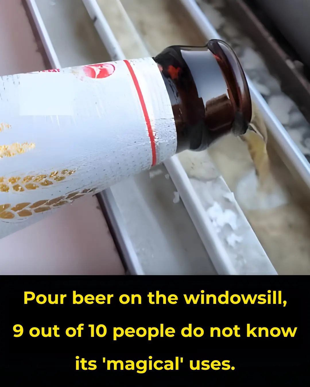 Beer on the Window Sill: A Simple Trick With Surprising “Magic” Benefits