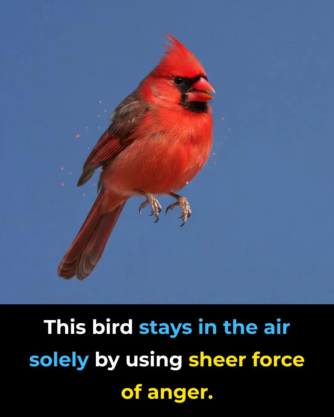 Harnessing Anger and Passion for Purposeful Action