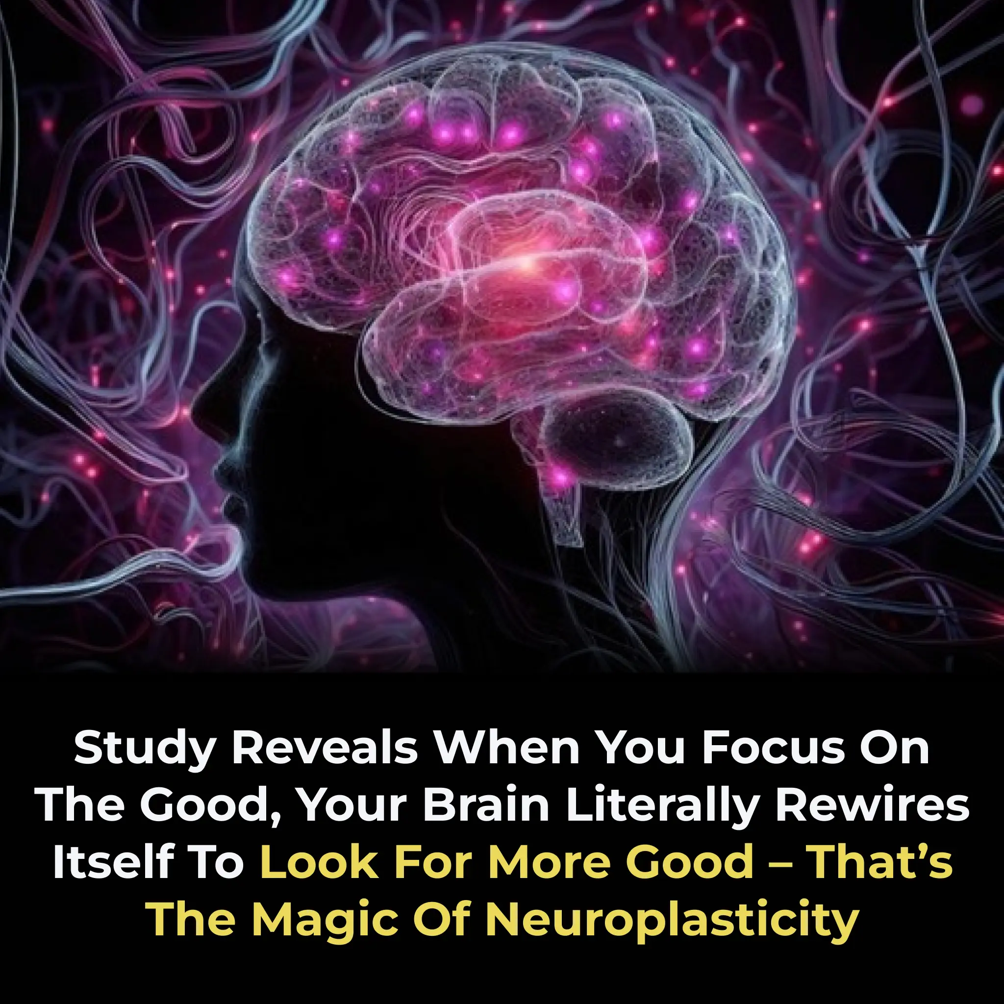 Study Reveals When You Focus on the Good, Your Brain Literally Rewires Itself to Look for More Good – That’s the Magic of Neuroplasticity