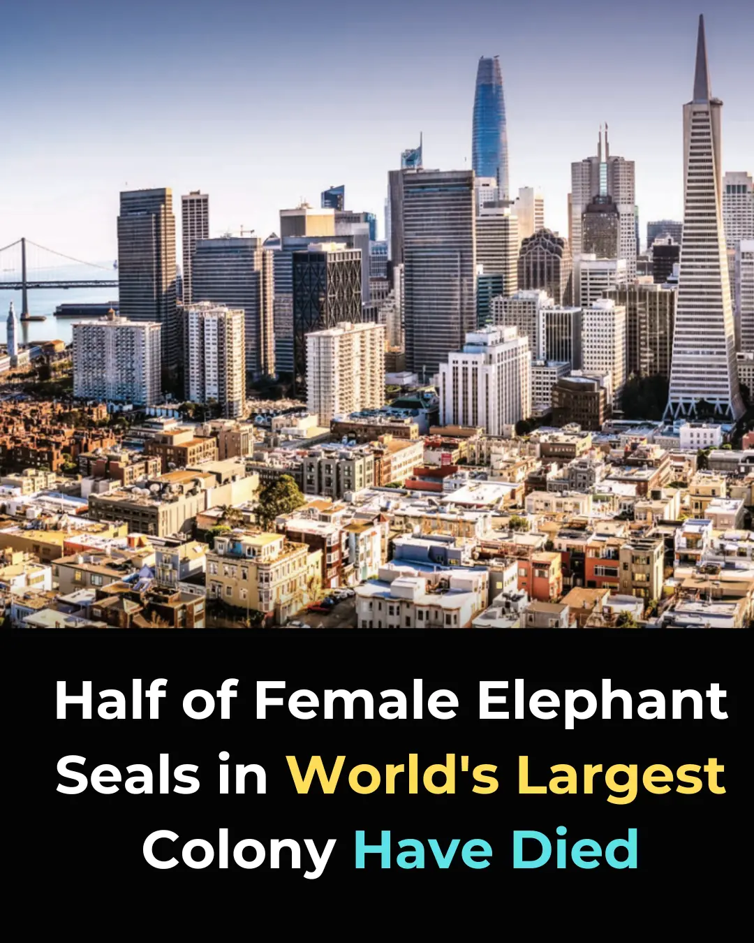 California Becomes the Fourth-Largest Economy in the World, Surpassing Japan in Nominal GDP