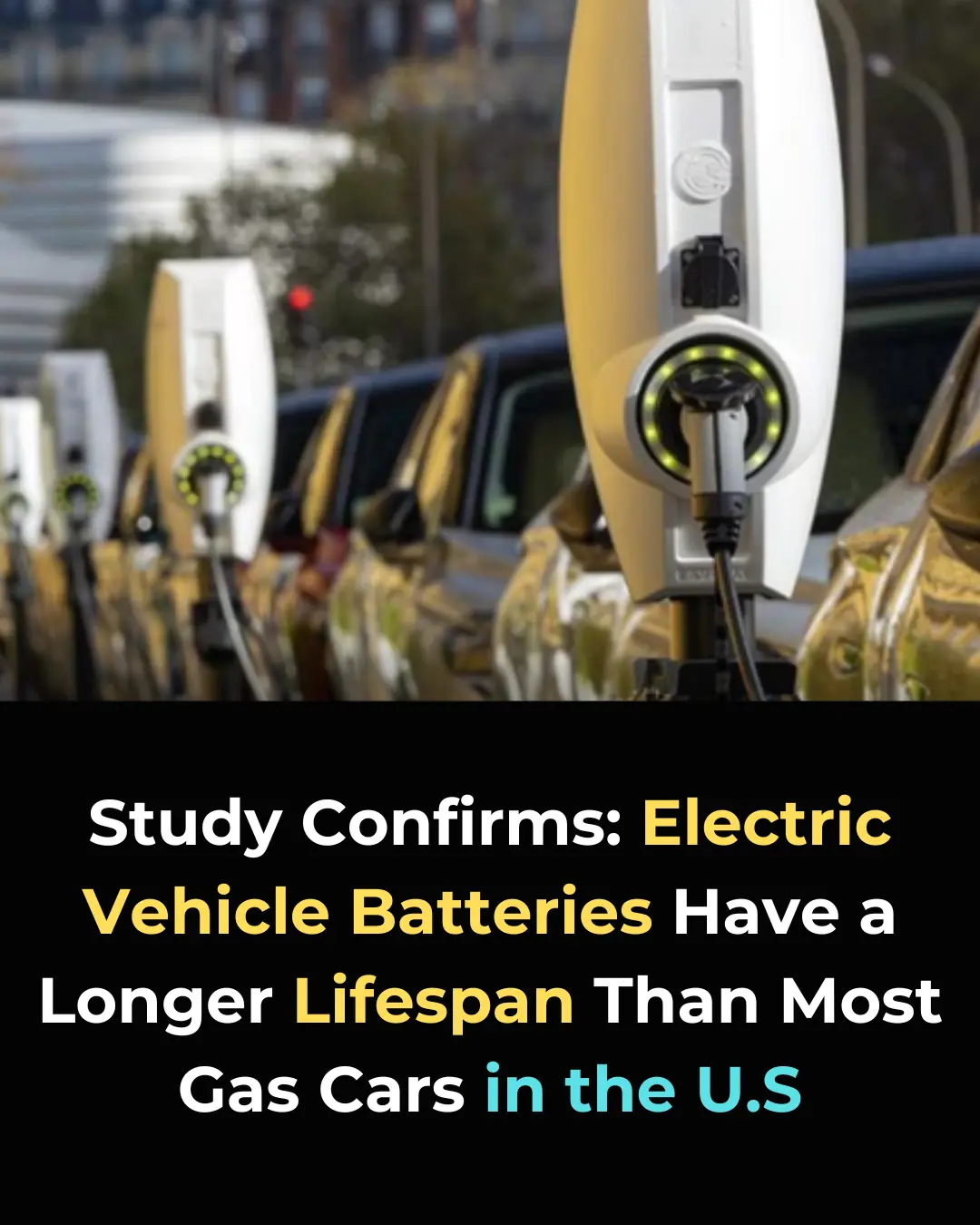 "EV Battery Longevity: How Modern Electric Vehicle Batteries Are Built to Last Up to 20 Years