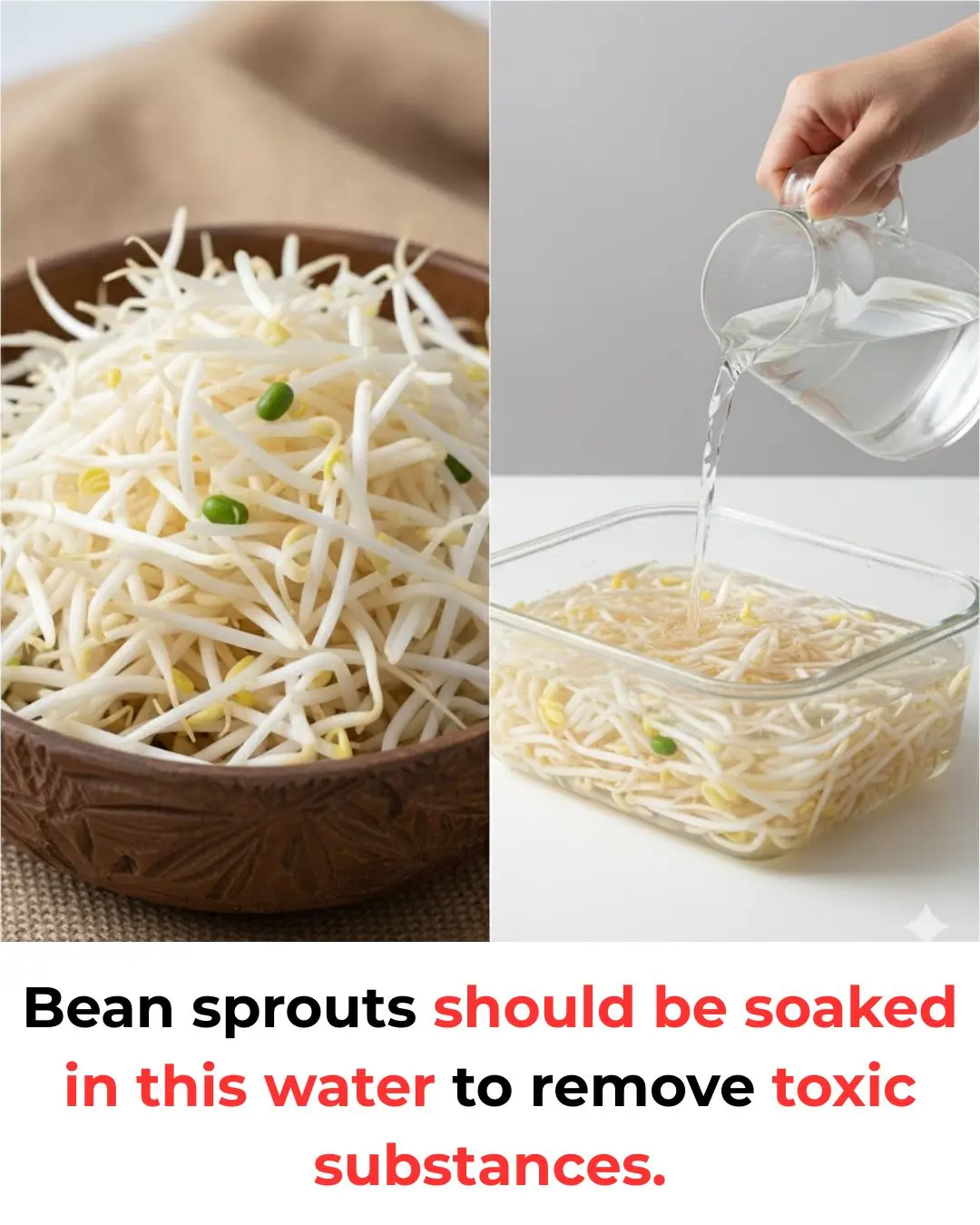 Bean sprouts should be soaked in this water to remove toxic substances.
