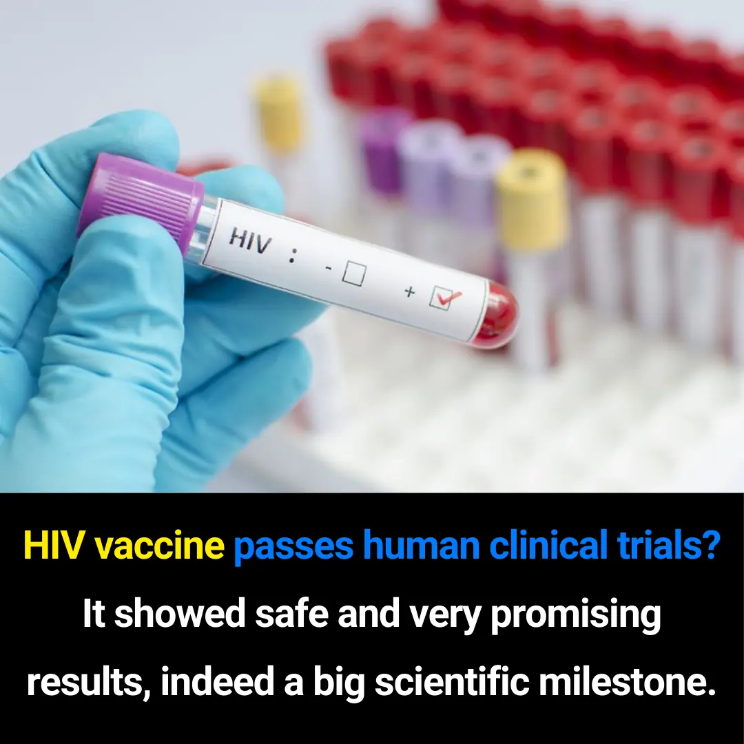 A Breakthrough in the Global Search for an HIV Vaccine: From Impossible to Truly Hopeful