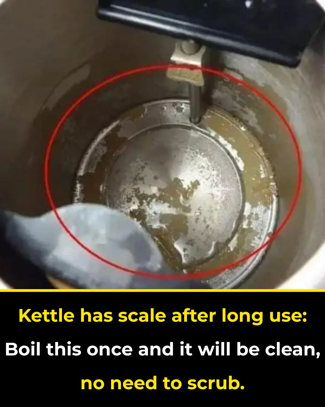 Kettles Covered in Limescale? Add This One Ingredient, Boil Once, and It Comes Out Spotless—No Scrubbing Needed