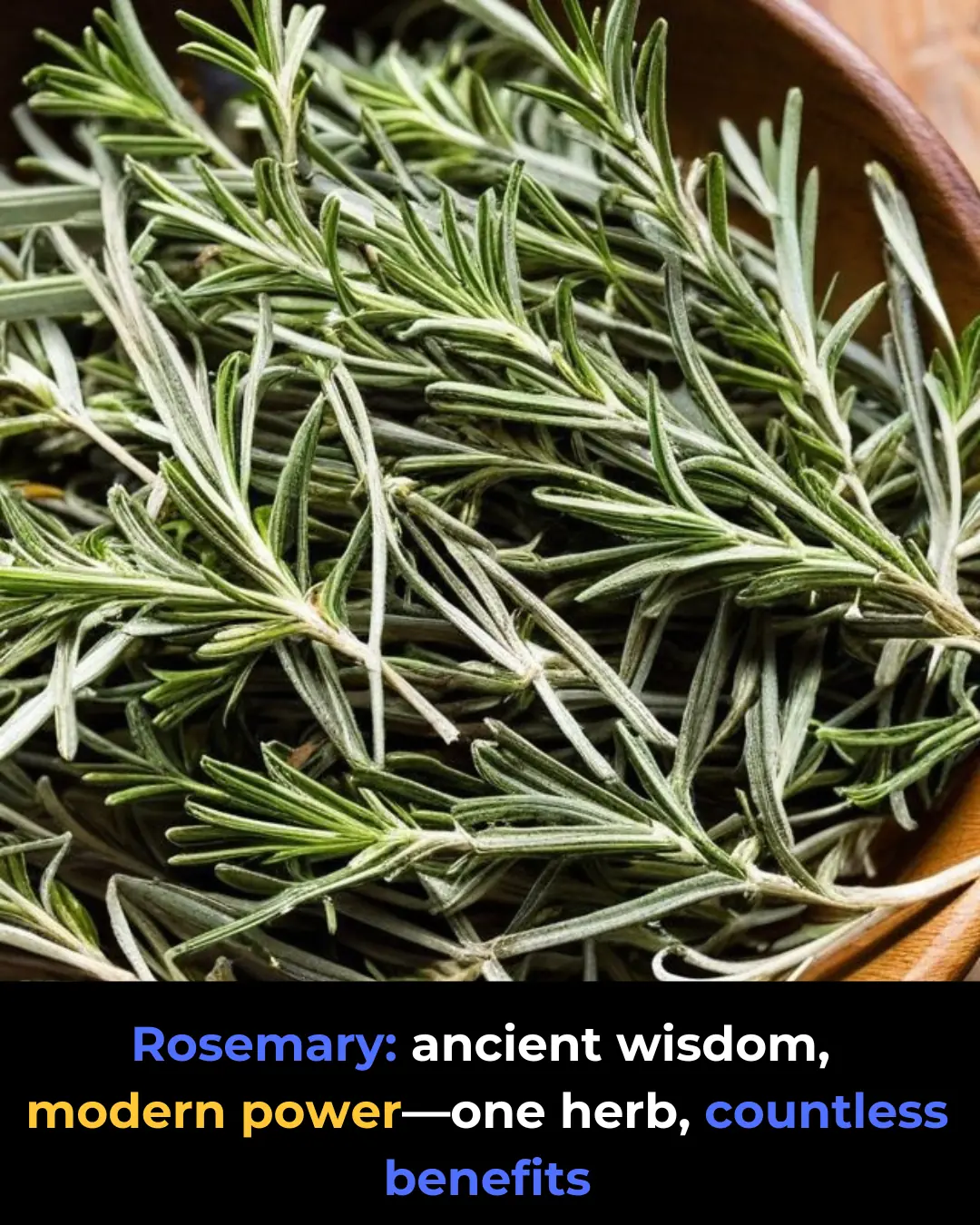 Rosemary: The Ancient Herb With Powerful, Underestimated Benefits for the Human Body