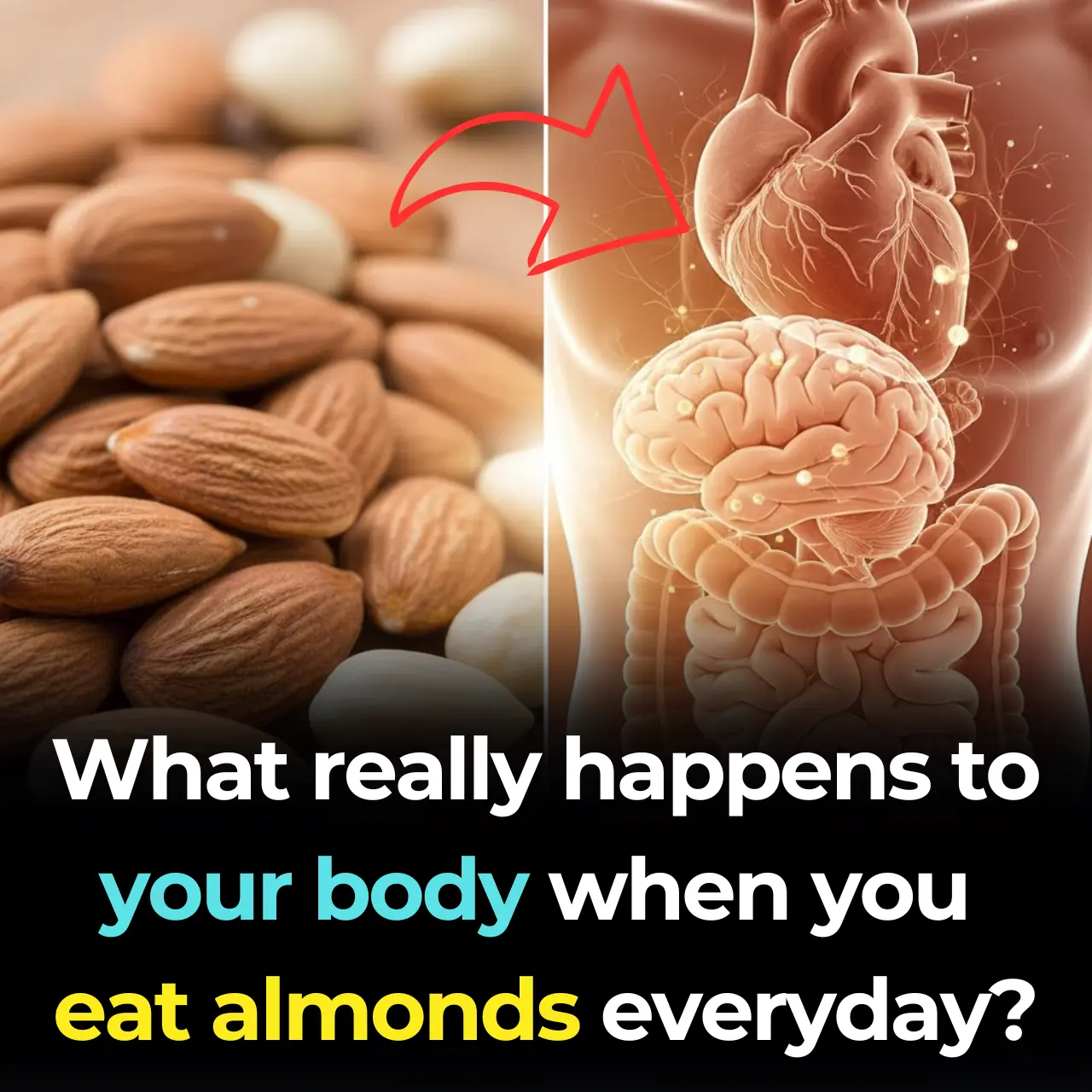 Why Almonds Are So Good for You: Health Benefits of Almonds Backed by Science