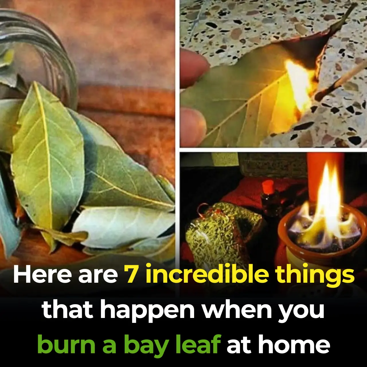 Here are 7 incredible things that happen when you burn a bay leaf at home