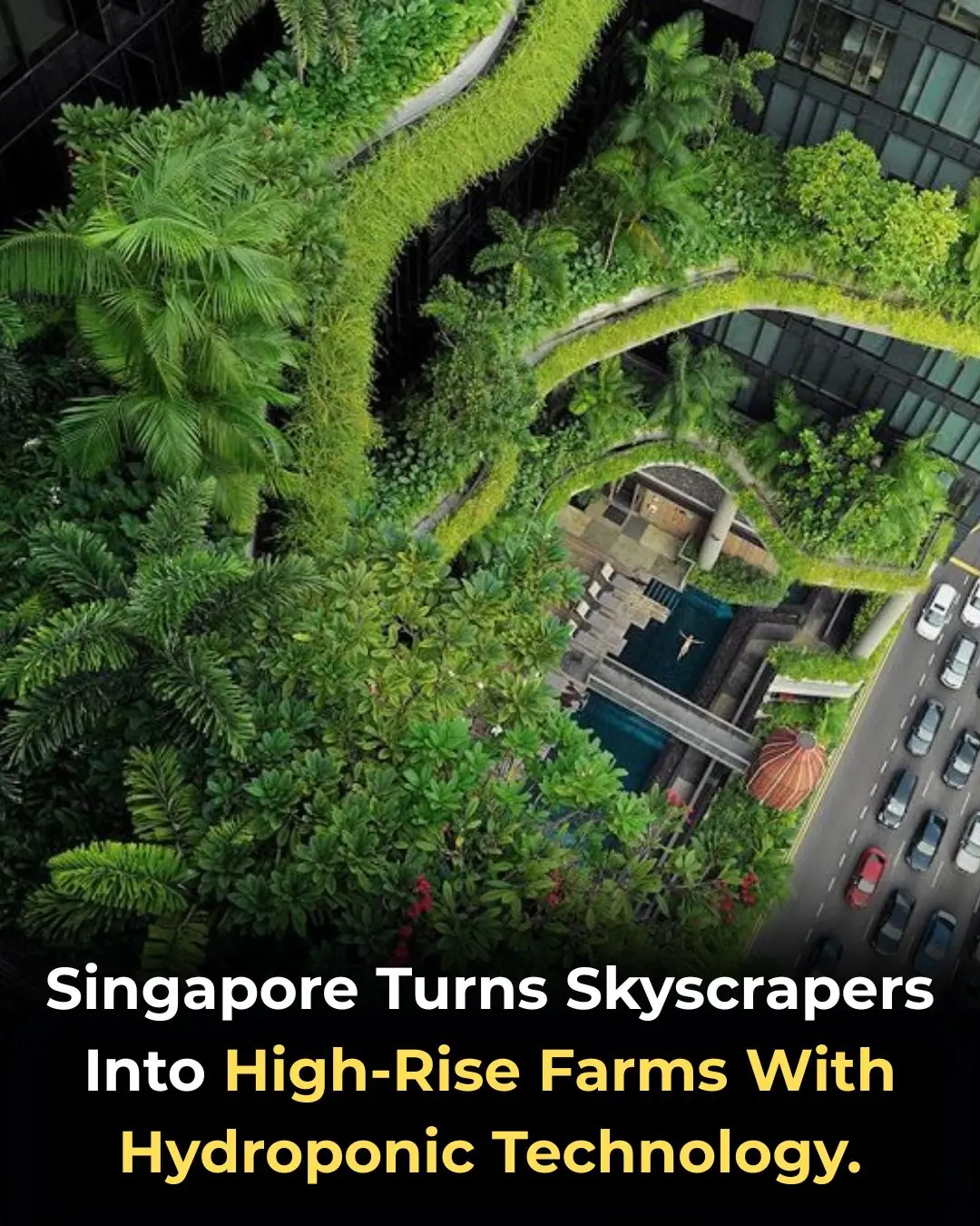 Singapore Builds Urban Farms in the Sky to Cut Imports and Strengthen Sustainability