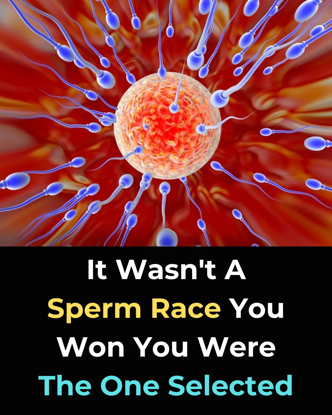 Groundbreaking Discovery: Eggs Actively Choose Sperm, Changing Our Understanding of Fertilization